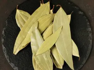 Bay Leaf/Tejpatta